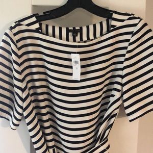 Ann Taylor Striped Dress